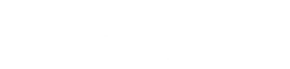 Global SNLAC logo horizontal - WHITE